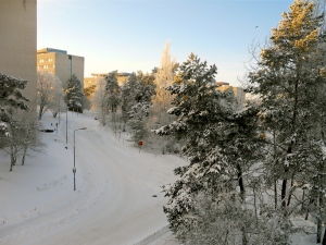 View from my window: Snowy Uppsala, the remnants of an incredible snowstorm